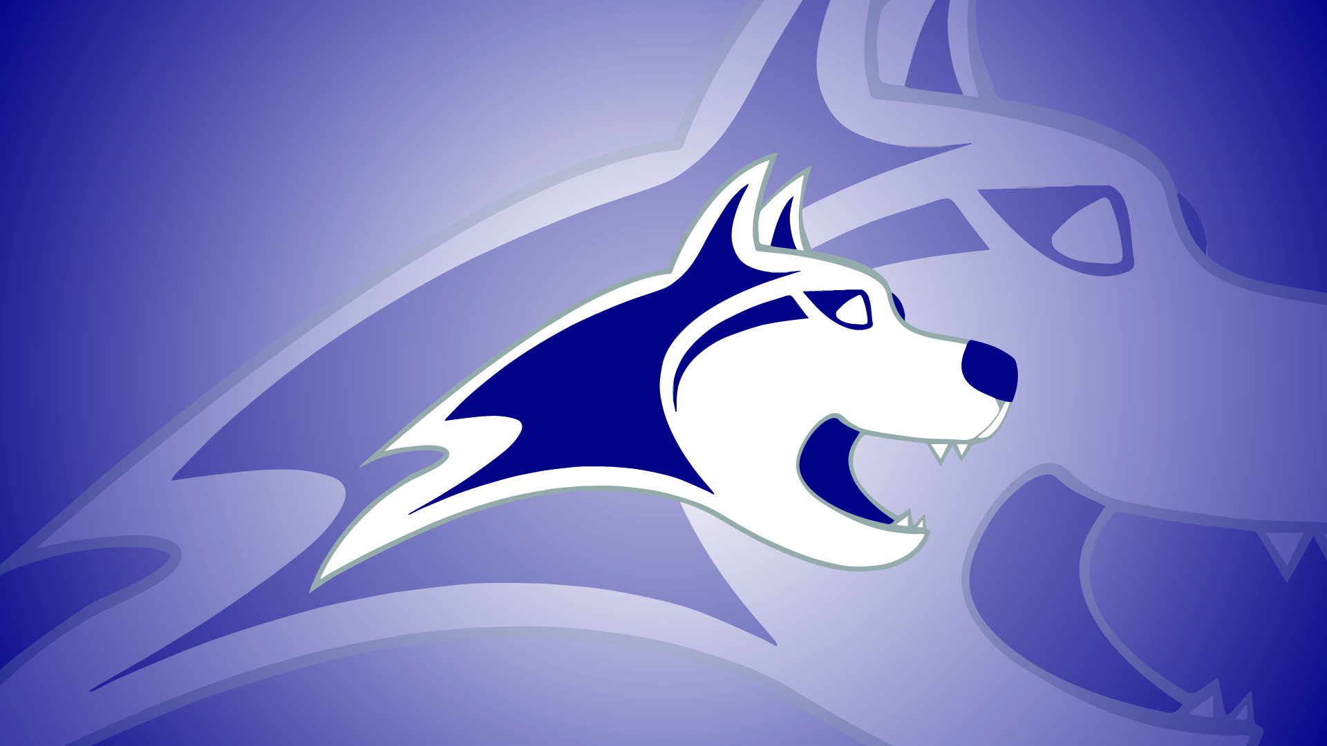 Little wolves logo two times in the middle of a white to purple radial gradient. 